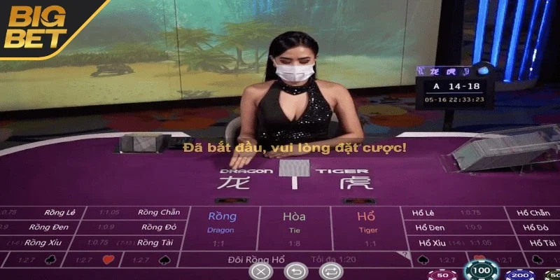 Tham khảo bí quyết dễ chiến thắng 